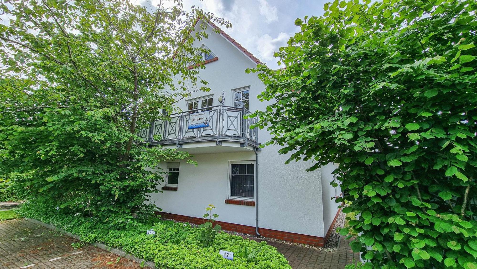 Zur Hanse Wohnung 1 1 Zingst Eksteriør billede